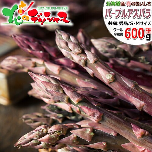 �y�o�ג��z�k�C���Y �p�[�v���A�X�p�� 600g (����/S-M�T�C�Y) �M�t�g ���ƒ�p �k�C�� ��� ������_0