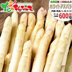 �y�\��z�k�C���Y �z���C�g�A�X�p�� 600g (����/L-2L�T�C�Y) �H�� �M�t�g ���ƒ�p �k�C�� ������