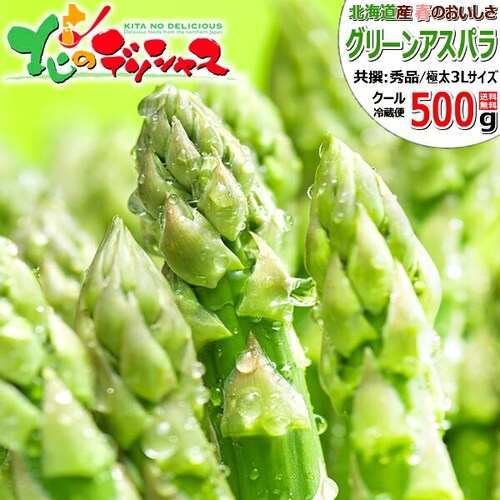 【順次出荷中】北海道産 グリーンアスパラ 500g (共撰/極太/3Lサイズ) ギフト ご家庭用 北海道 野菜 お取り寄せ_0