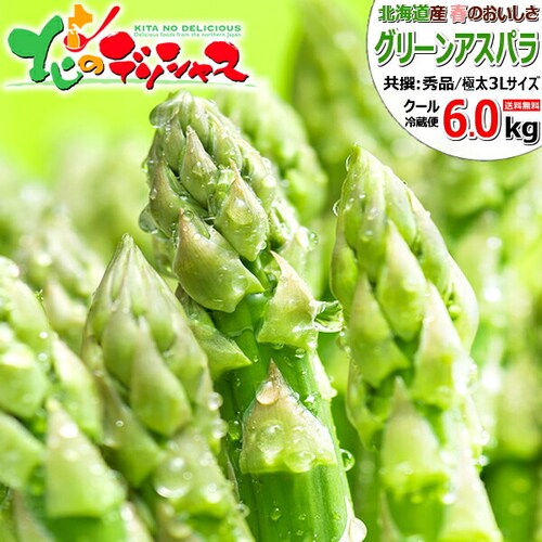 �y�����o�ג��z�k�C���Y �O���[���A�X�p�� 6kg (����/�ɑ�/3L�T�C�Y) �M�t�g ���ƒ�p �k�C�� ��� ������_0