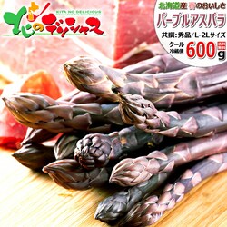 �y�\��z�k�C���Y �p�[�v���A�X�p�� 600g (����/L-2L�T�C�Y) �H�� �M�t�g ���ƒ�p �k�C�� ������