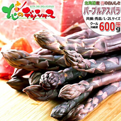 �y�\��z�k�C���Y �p�[�v���A�X�p�� 600g (����/L-2L�T�C�Y) �M�t�g ���ƒ�p �k�C�� ��� �����񂹁y������s�z_0