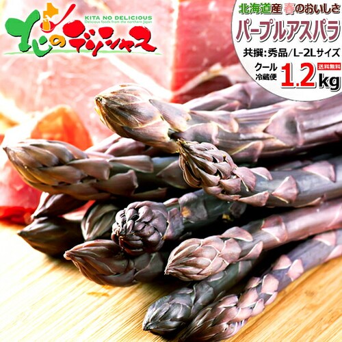 �y�\��z�k�C���Y �p�[�v���A�X�p�� 1.2kg (����/L-2L�T�C�Y) �M�t�g ���ƒ�p �k�C�� ��� �����񂹁y������s�z_0