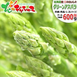 �y�\��z�k�C���Y �O���[���A�X�p�� 600g (����/�ɑ�/L-2L�T�C�Y) �M�t�g ���ƒ�p �k�C�� ������