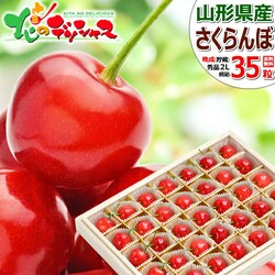 �y�\��z�R�`���Y �Ӑ� �������� (�����i/�G�i/2L�T�C�Y/��l��/1��35������/�N�[����) ������ �M�t�g