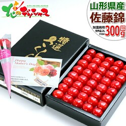 �y5��7��(��)�ɂ��͂��z��̓� �������� ������ 300g (�����n�E�X/���G�i/2L�T�C �Y) �M�t�g �v���[���g ��̓��M�t�g