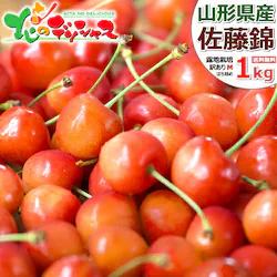 �y�\��z�R�`���Y ���ƒ�p �������� ������ 1kg (�󂠂�/M�T�C�Y/�΂�l��/�N�[����) ����p �ƒ�p