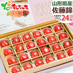 �y�\��z��̓� �������� ������ (�����n�E�X/�G�i/2L�T�C�Y/24������) �M�t�g �v���[���g ��̓��M�t�g