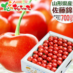 �y�\��z�R�`���Y �������� ������ 700g (�G�i/L�T�C�Y/��l��/�N�[����) �M�t�g ����p �ƒ�p