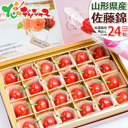 �y5��8��(��)�ɂ��͂��z��̓� �������� ������ (�����n�E�X/�G�i/L�T�C�Y/24������) �M�t�g �v���[���g ��̓��M�t�g