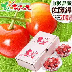 �y�\��z�R�`���Y �������� ������ 200g (�����n�E�X/�G�i/M�T�C�Y) ���� �M�t�g ���蕨 ���j �t���[�c