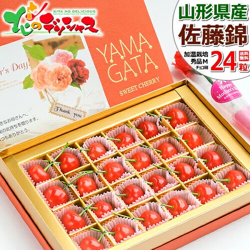 �y5��9��(�y)�ɂ��͂��z��̓� �������� ������ (�����n�E�X/�G�i/M�T�C�Y/24������) �M�t�g �v���[���g ��̓��M�t�g_0