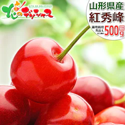 �y�\��z�R�`���Y �������� �g�G�� 500g (�G�i/L�T�C�Y/�΂�l��/�N�[����) ������ �M�t�g ����p �ƒ�p