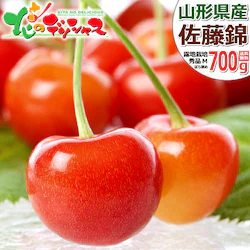 �y�\��z�R�`���Y �������� ������ 700g (�G�i/M�T�C�Y/�΂�l��/�N�[����) �M�t�g ����p �ƒ�p