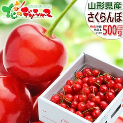 �y�\��z�R�`���Y �Ӑ� �������� 500g (�����i/�G�i/L�T�C�Y/�΂�l��/�N�[����) ������ �M�t�g �ƒ�p