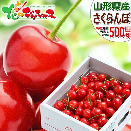 �y�o�ג��z�R�`���Y �Ӑ� �������� 500g (�����i/�G�i/L�T�C�Y/�΂�l��/�N�[����) ������ �M�t�g ���蕨 ���j�� ���j�� �ƒ�p �ʕ� �t���[�c �R�`�� ������_0