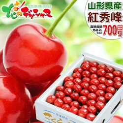 �y�\��z�R�`���Y �������� �g�G�� 700g (�G�i/2L�T�C�Y/��l��/�N�[����) ������ �M�t�g �ƒ�p