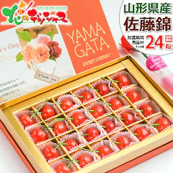 �y�\��z��̓� �������� ������ (�����n�E�X/�G�i/M�T�C�Y/24������) �M�t�g �v���[���g ��̓��M�t�g