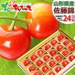 �y�o�ג��z�R�`���Y �������� ������ (�����n�E�X/�G�i/L�T�C�Y/24������) ���� �M�t�g ���蕨 �t���[�c