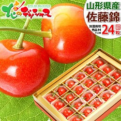 �y�\��z�R�`���Y �������� ������ (�����n�E�X/�G�i/M�T�C�Y/24������) ���� �M�t�g ���蕨 �t���[�c