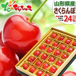 �y�\��z�R�`���Y �Ӑ� �������� (�����i/�G�i/L�T�C�Y/��l��/1��24������/�N�[����) ������ �M�t�g