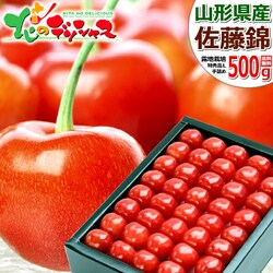 �y�\��z�R�`���Y �������� ������ 500g (���G�i/L�T�C�Y/��l��/�N�[����) �M�t�g ����p �ƒ�p