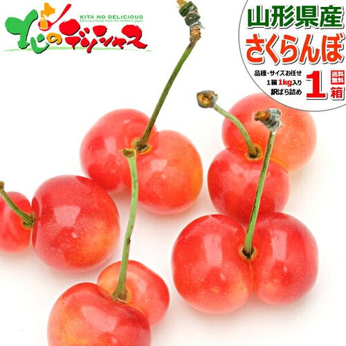 【出荷中/指定日不可】山形県産 ご家庭用 双子 さくらんぼ 1kg (訳あり/ばら詰め/産地箱/クール便) 自宅用_0
