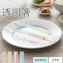 �s���N ���� �H��@�Ή� �ʔ� ���{�� �C�V�_ �� ���͂� 23cm ������� ��l ���� �j�� ���킢�� ���� ���� �N���A �v���X�`�b�N�� �v���X�L���s �V���� ���j�� �v�`�M�t�g �a�H�� �H�� �L�b�`���p�i