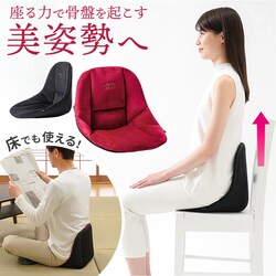 ���ՃT�|�[�g �`�F�A �p������ �ʔ� cosios Premium �R�V�I�X�v���~�A�� �{�[�h�N�b�V���� ���֎q ���p�����֎q ���Ջ��� ���Ս��֎q �T�|�[�g�N�b�V���� �j�����p �w�� ���� ������� �֎q �C�X ������ �e�����[�N