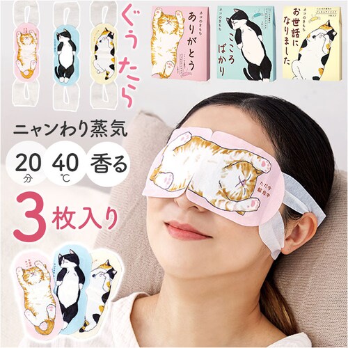 アイマスク 使い捨て 可愛い 通販 ホットアイマスク 使い捨てアイマスク 温熱アイマスク アロマタイプ 温熱 目元ケア 目元 ケア 心地よい アソート3枚入り プチギフト リラクゼーショングッズ お礼_0