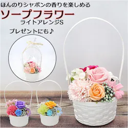 �\�[�v�t�����[ �ԑ� �ʔ� �\�[�v�t�����[�M�t�g �t�����[�M�t�g �͂�Ȃ� ���� �C���e���A �u�[�P �t�����[�A�����W�����g �� �A�����W�����g �t�����[ �A�����W �t���O�����X�\�[�v�t�����[ �M�t�g ���蕨 �a����