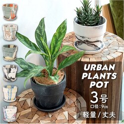 81072.�m���f�B�b�N �A�ؔ� �v���X�`�b�N ������ 3�� �ʔ� �v�����^�[ ������� �A�� �� �|�b�g �Ԕ� 3���� �v���X�`�b�N���� ���킢�� ���� �y�� �y�� ���a 10cm �A�[�o���v�����c�|�b�g �R�� �}�[�u�� POSH