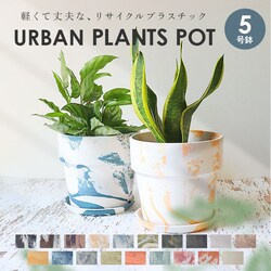 �~���N/�s�X�^�`�I �A�ؔ� �v���X�`�b�N ������� 5�� �ʔ� ���J�o�[ 5���� �v�����^�[ �v�����^�[�J�o�[ �A�� �|�b�g ���A�� �A�[�o���v�����c�|�b�g �y�� �y�� �ϗt�A�� �� �󂯎M�t�� �ꌊ���� PLUS the green