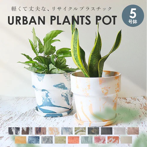 �A�ؔ� �v���X�`�b�N ������� 5�� �ʔ� ���J�o�[ 5���� �v�����^�[ �v�����^�[�J�o�[ �A�� �|�b�g ���A�� �A�[�o���v�����c�|�b�g �y�� �y�� �ϗt�A�� �� �󂯎M�t�� �ꌊ���� PLUS th_0