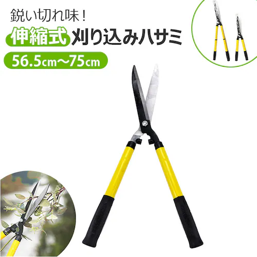 ���荞�݃n�T�~ �L�k�� �ʔ� �}�؂� ��� ���_ ���� ����΂��� ������ �͂��� �n�T�~ �}�؂΂��� ������� �}�؂�΂��� ����n�T�~ ��� �뉀 �K�[�f�j���O �ƒ�؉� ���|�΂��� �������΂�_0