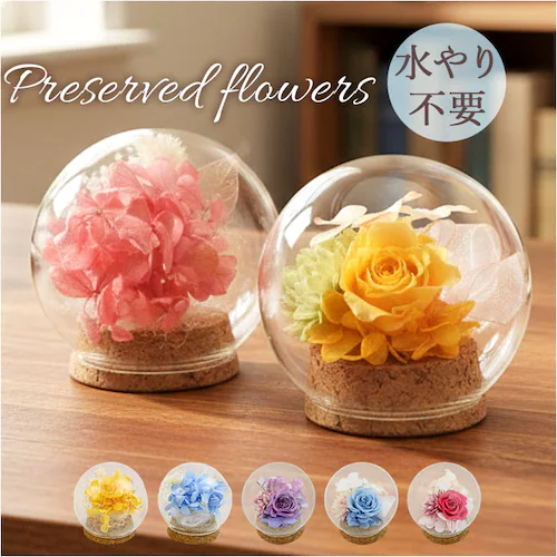 �v���U�[�u�h�t�����[ �K���X�h�[�� �ʔ� �u���U�[�u�h�t�����[ �t�����[�M�t�g �� �u���U�[�h�t�����[ ������� ���킢�� ���蕨 �M�t�g �����j�� �a���� �����L�O�� ���j�� �җ�j�� �ސE�j�� ��_0