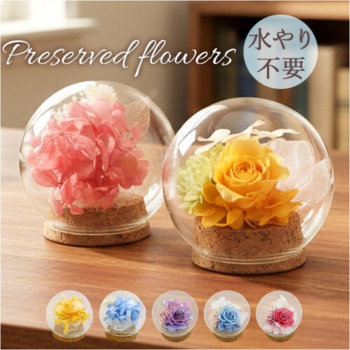 �v���U�[�u�h�t�����[ �K���X�h�[�� �ʔ� �u���U�[�u�h�t�����[ �t�����[�M�t�g �� �u���U�[�h�t�����[ ������� ���킢�� ���蕨 �M�t�g �����j�� �a���� �����L�O�� ���j�� �җ�j�� �ސE�j�� ��_0