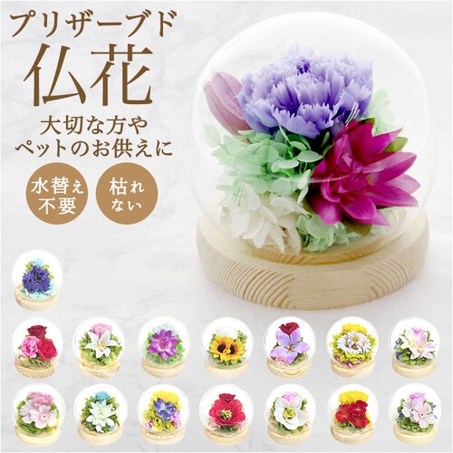 お供え ガラスドーム 供養 仏花 通販 フラワーアレンジメント プリザーブドフラワー プリザードフラワー 供え花 献花 飾り 手のひらサイズ ドーム ドームタイプ 仏壇用 お盆 花 フラワー 枯れない_0