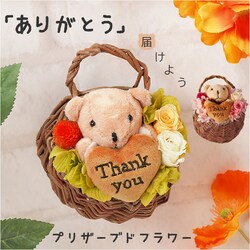 �v���U�[�u�h�t�����[ ���킢�� �ʔ� �X�}�C���x�A �t�����[�A�����W�����g �v���U�[�h�t�����[ �t�����[�M�t�g ���� �� ���� �F �t�����[ ���� ���Ԃ� �M�t�g thank you ���� �M�t�g ��̓� 60�� �h�V�̓�