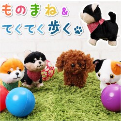 �܂˂܂˃g�R�g�R �ʂ������ ������؂� �ʔ� �܂˂܂� �g�R�g�R �܂˂܂˂ʂ������ �����Ă܂˂܂� �����ă��m�}�l �������� ���̂܂� ���m�}�l �l�` ���� ����ׂ� ���� ���킢�� �O�b�Y �I�X�g �M�t�g