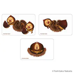 ���тƂÂ��� �O�b�Y �ʔ� ���тƂ����� �N���A�J�[�h �܂�����S�ݓX�N���A�J�[�h 4947864050962 ���тƂÂ���04 �X�}�z�� �X�}�[�g�t�H�� ���� �J�[�h ���킢�� ���� ������� �J���C�C �G�{�L�����N�^�[