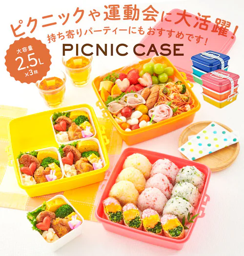 �ٓ��� 3�i �� �ʔ� �d�� ���d 3�i �O�i �X�N�G�A�^ �p�^ �����`�{�b�N�X �����`BOX �s�N�j�b�N�P�[�X �s�y�ٓ� �R���p�N�g �傫�� �傫�� �t�@�~���[�T�C�Y �Ƒ� �^���� �s�N�j�b�N 2�i_0