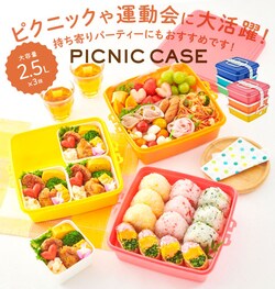 �ٓ��� 3�i �� �ʔ� �d�� ���d 3�i �O�i �X�N�G�A�^ �p�^ �����`�{�b�N�X �����`BOX �s�N�j�b�N�P�[�X �s�y�ٓ� �R���p�N�g �傫�� �傫�� �t�@�~���[�T�C�Y �Ƒ� �^���� �s�N�j�b�N 2�i�Ƃ��Ă��g���� ���Ԍ�