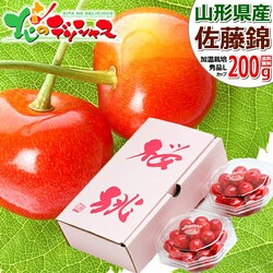 �y�\��z�R�`���Y �������� ������ 200g (�n�E�X�͔|/�G�i/L�T�C�Y) �M�t�g ���蕨 ���� ���j �t���[�c