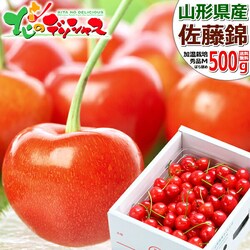 �y�\��z�R�`���Y �������� ������ 500g (�n�E�X�͔|/�G�i/M�T�C�Y/�΂�l��) �M�t�g ���蕨 �t���[�c