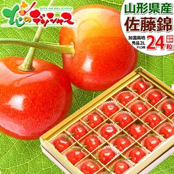 �y�o�ג��z�R�`���Y �������� ������ (�����n�E�X/�G�i/2L�T�C�Y/24������) ���� �M�t�g ���蕨 �t���[�c