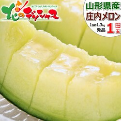 �y�\��z�R�`���Y �������u������ 1�� (��/�G�i/1�� ��1.3kg) ������ ������ �ʕ� �t���[�c ������