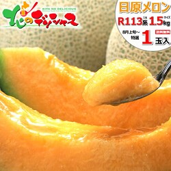 �y�\��z�k�C�� ���������� 1�ʓ��� (1�� 1.5kg/R113�n/�퉷��) �c�������� ���~ ������ ���蕨 ������