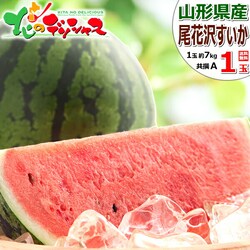 �y�\��z�R�`���Y JA�݂��̂����R ���ԑ򂷂��� 1�� (����/A�i/1�� ��7kg) ���Z �M�t�g ���蕨 ������