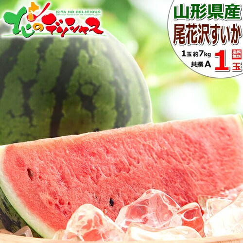 【出荷中】山形県産 JAみちのく村山 尾花沢すいか 1玉 (共撰/A品/1玉 約7kg) すいか スイカ 西瓜 ギフト 贈り物 ご家庭用 果物 フルーツ 山形 お取り寄せ_0